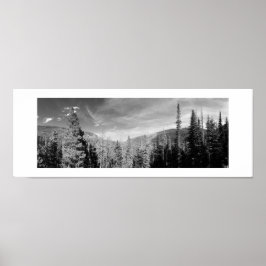 Forest Woodland Black and White Photo Panoramic Poster