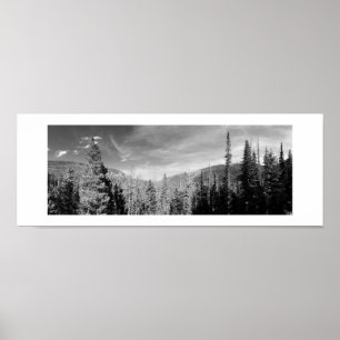 Forest Woodland Black and White Photo Panoramic Poster