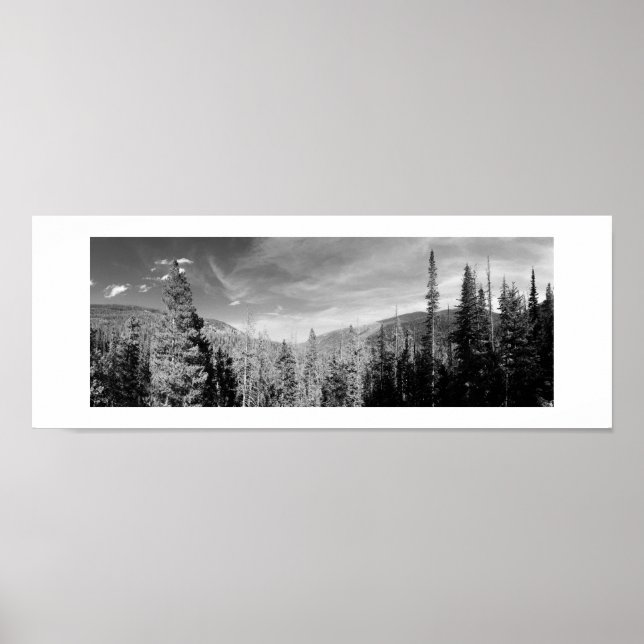 Forest Woodland Black and White Photo Panoramic Poster (Framsidan)