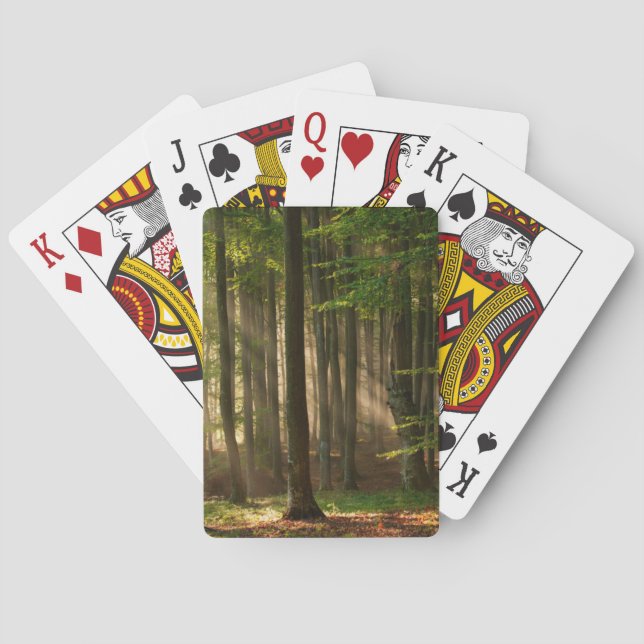 Forests | Autumn Forest Casinokort (Baksidan)