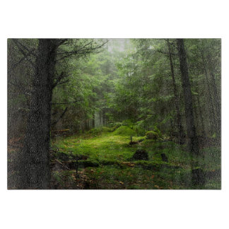 Forests | Auvergne France