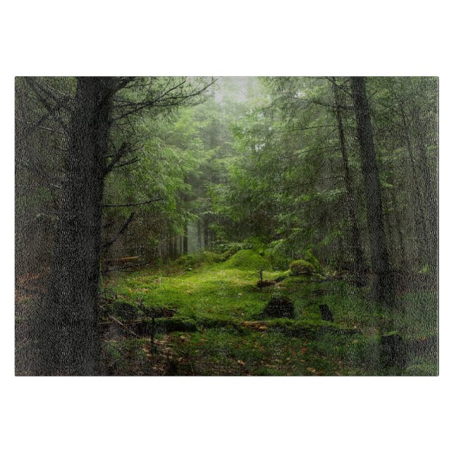 Forests | Auvergne France (Framsidan)