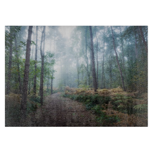 Forests | Dark Foggy Woods Norfolk UK (Framsidan)