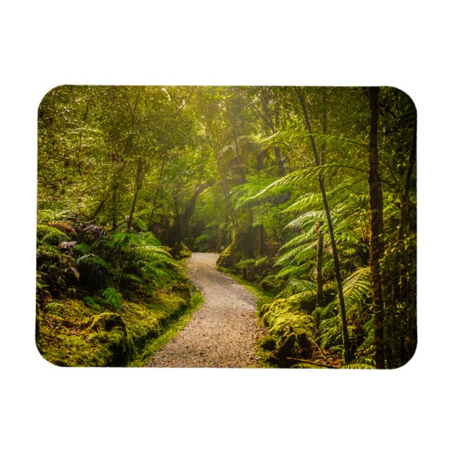 Forests | Footpath Into Forest Magnet (Horisontell)