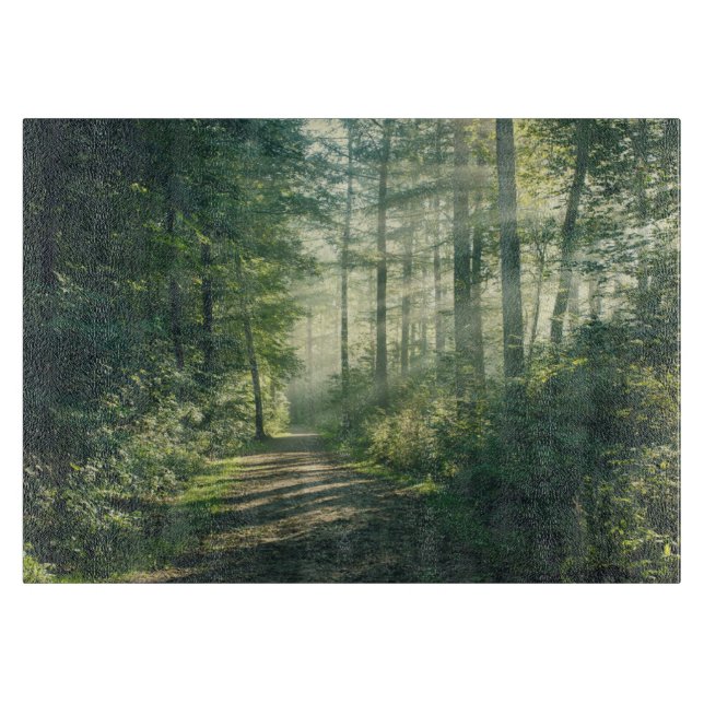 Forests | Forest Path Hamburg Germany (Framsidan)