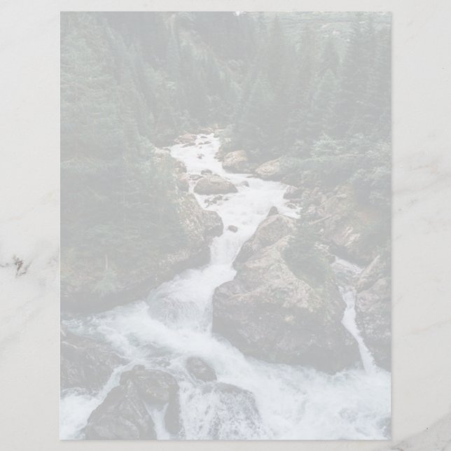 Forests | Grison Graubunden Canton (Framsida)