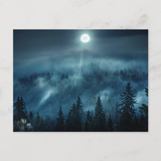 Forests | Moonlit Forest Vykort (Framsida)
