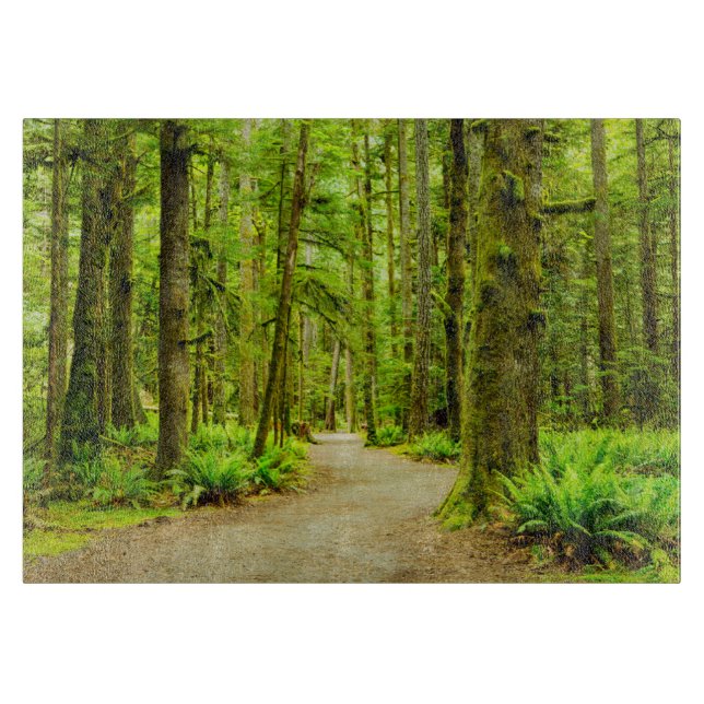 Forests | Olympic National Park (Framsidan)