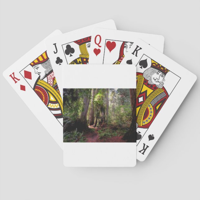 Forests | Redwood Forest California Casinokort (Baksidan)