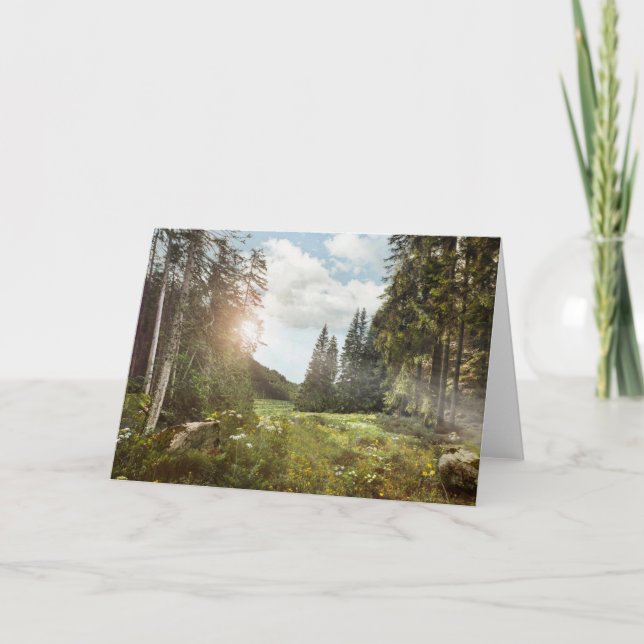 Forests | Sun Peeking Thru Kort (Framsida)