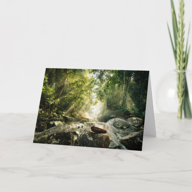 Forests | Tropical Jungle Forest Kort (Framsida)