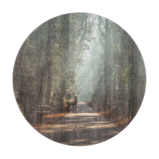 Forests | Woodland Stag (Framsidan)