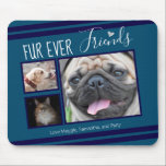 Forever Friends Pet Photo Collage Blue Musmatta<br><div class="desc">Det är lätt att använda med 3 fotolympor med musmatta. All text kan enkelt ändras. Underbar för djurälskarn i ditt liv. Blå</div>