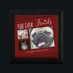 Forever Friends Pet Photo Collage Minnesask<br><div class="desc">För djurälskarn i ditt liv är den här lättförståeliga mallen för användans nyckelrutor ett 3-fotokollage-alternativ. All text är justerbar. Du kan också ändra layouten med de anpassade alternativen. Hand plockade hjärtaccent.</div>