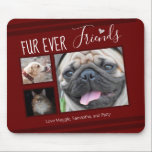 Forever Friends Pet Photo Collage Musmatta<br><div class="desc">Det är lätt att använda med 3 fotolympor med musmatta. All text kan enkelt ändras. Underbar för djurälskarn i ditt liv.</div>