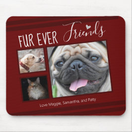 Forever Friends Pet Photo Collage Musmatta