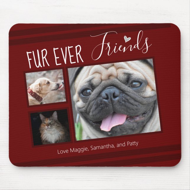 Forever Friends Pet Photo Collage Musmatta (Framsidan)