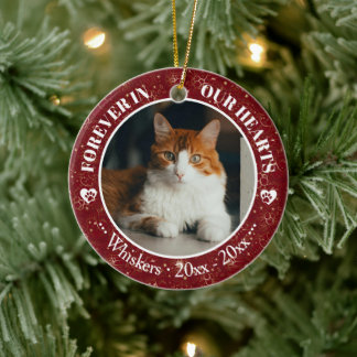 Forever in Our Hearts Cat Photo and Name Memorial Julgransprydnad Keramik