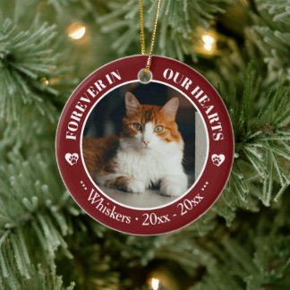 Forever in Our Hearts Cat Photo and Name Memorial Julgransprydnad Keramik