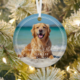 Forever in our Hearts Pet Memorial Name Photo Julgransdekoration
