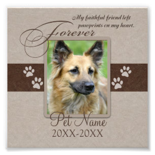 Forever Loved Pet Sympathy Anpassningsbar Fototryck