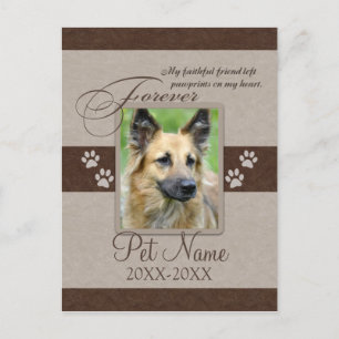 Forever Loved Pet Sympathy Meddelande Vykort