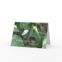 Forever lovemors dagkort