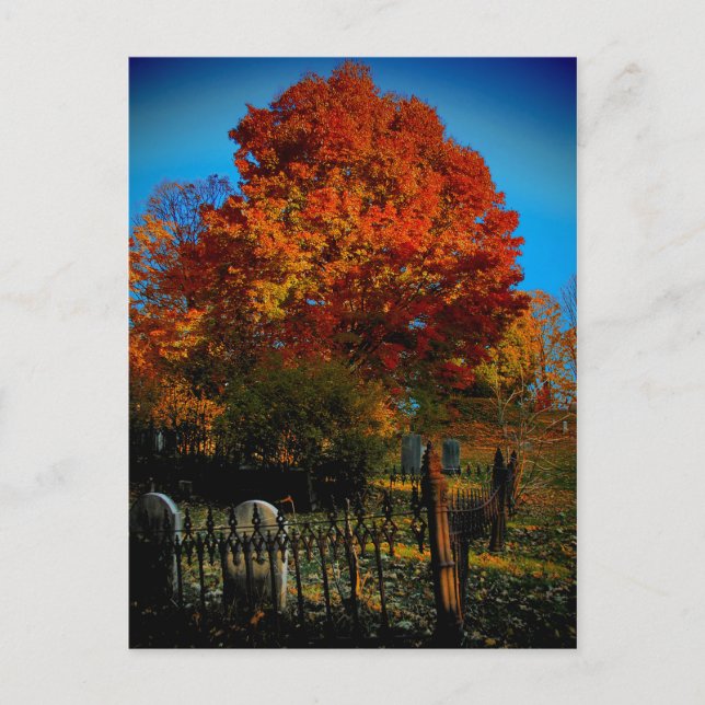 Forever Red-vykort Vykort (Framsida)