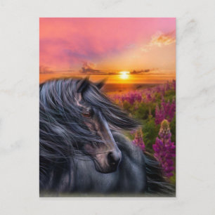 Forever Vild Black Horse Vykort