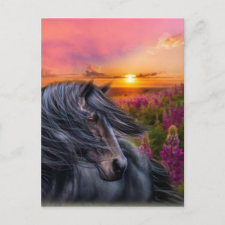 Forever Vild Black Horse Vykort
