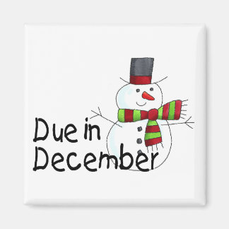 Förfaller i december magnet