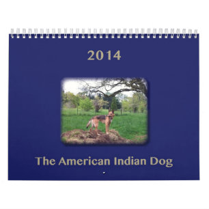 FÖRFALLIT: AIDog kalender 2014