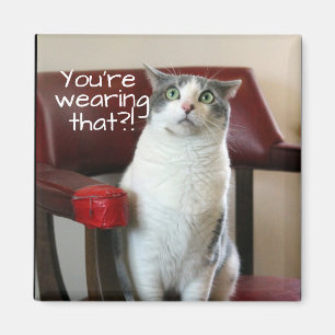 Förfärad katt magnet