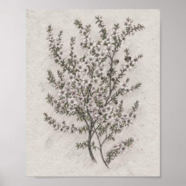 Förfinad botanisk interiörkonst poster (Framsidan)