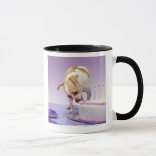 Förfölja (chihuahua) att äta födelsedagtårtan mugg