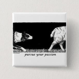 Förfölja din passiongränsCollie Knapp