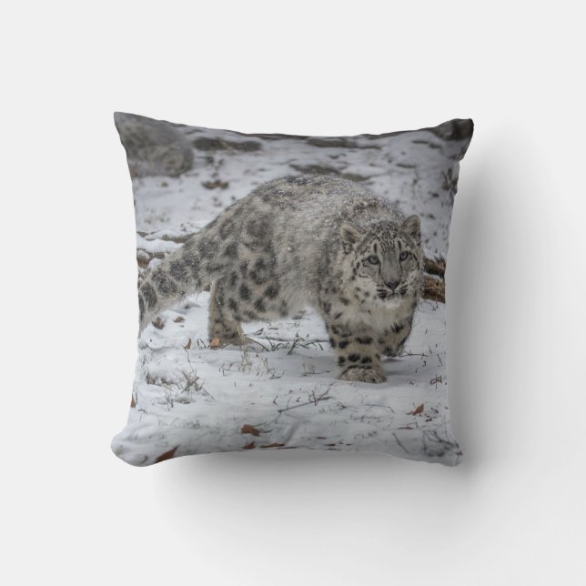 Förfölja för unge för snöLeopard Kudde (Framsida)