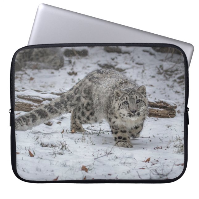 Förfölja för unge för snöLeopard Laptop Fodral (Framsidan)