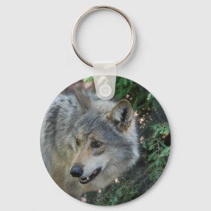 Förfölja vargen Keychain Nyckelring