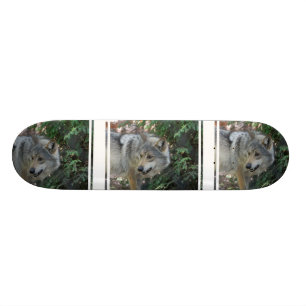 Förfölja vargskateboarden old school skateboard bräda 21,6 cm
