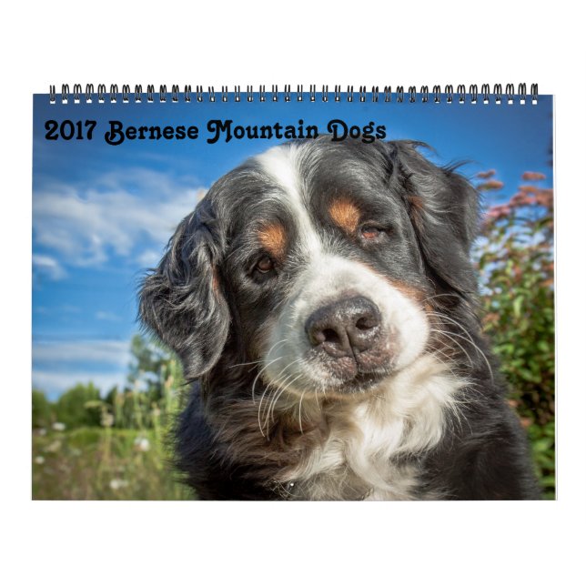 Förföljer det Bernese berg 2017 kalendern Kalender (Omslag)