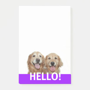 Förföljer le guld- Retriever två hejer Post-it Block