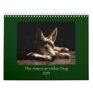 FÖRFÖLL 2013 BISTÅR kalendern Kalender