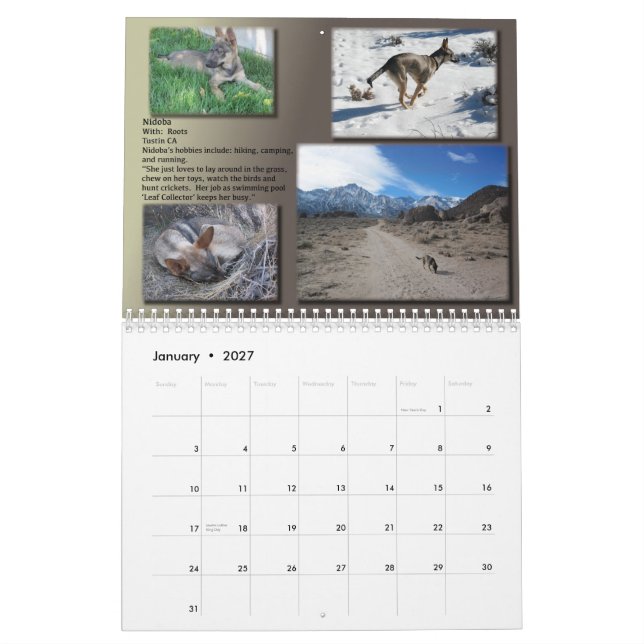 FÖRFÖLL 2013 BISTÅR kalendern Kalender (Jan 2027)