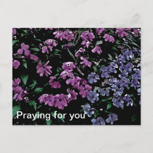 Förfrågan om ditt vykort för Blommigt