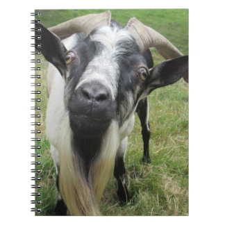 Förfrågningsminnen Anteckningsbok