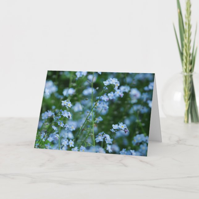 Förgätmigejblommakort Kort (Framsida)