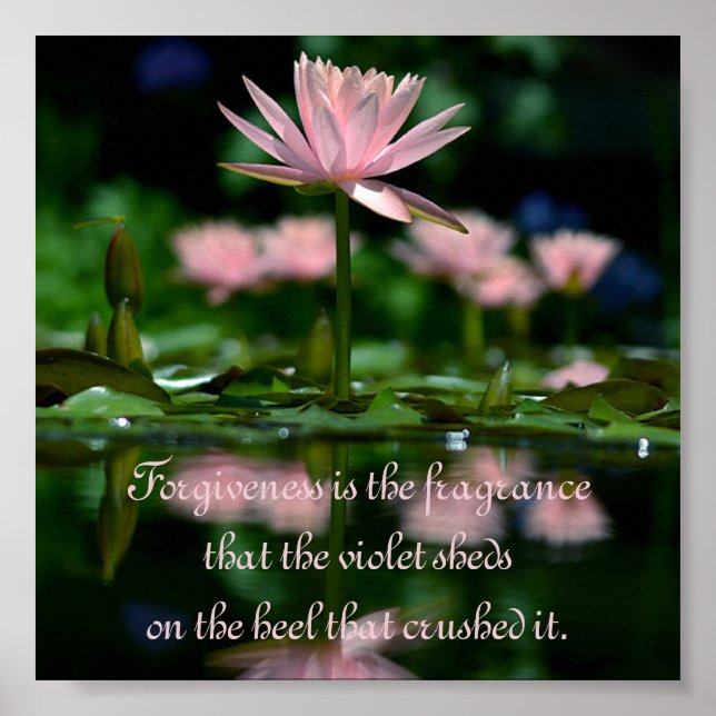 Forgitiviteten är den doft som den violetta får. poster (Framsidan)