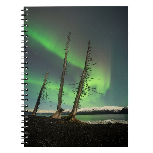 Förglömd Spruce-Aurora Anteckningsbok (Framsidan)