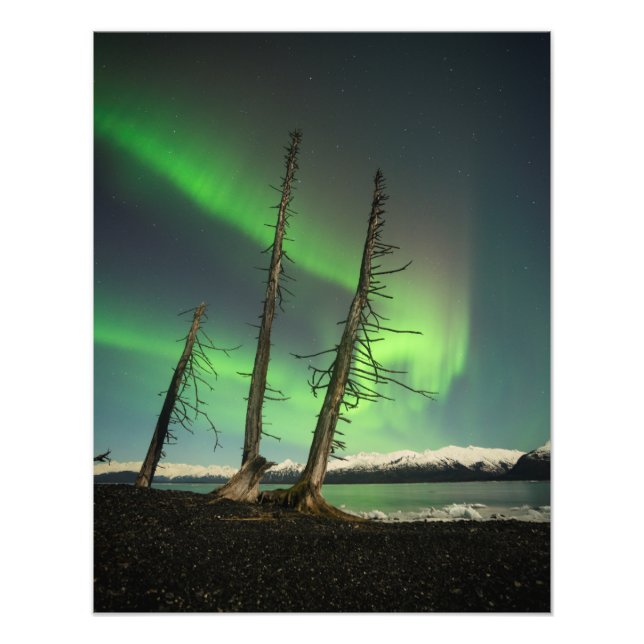 Förglömd Spruce-Aurora Fototryck (Framsidan)